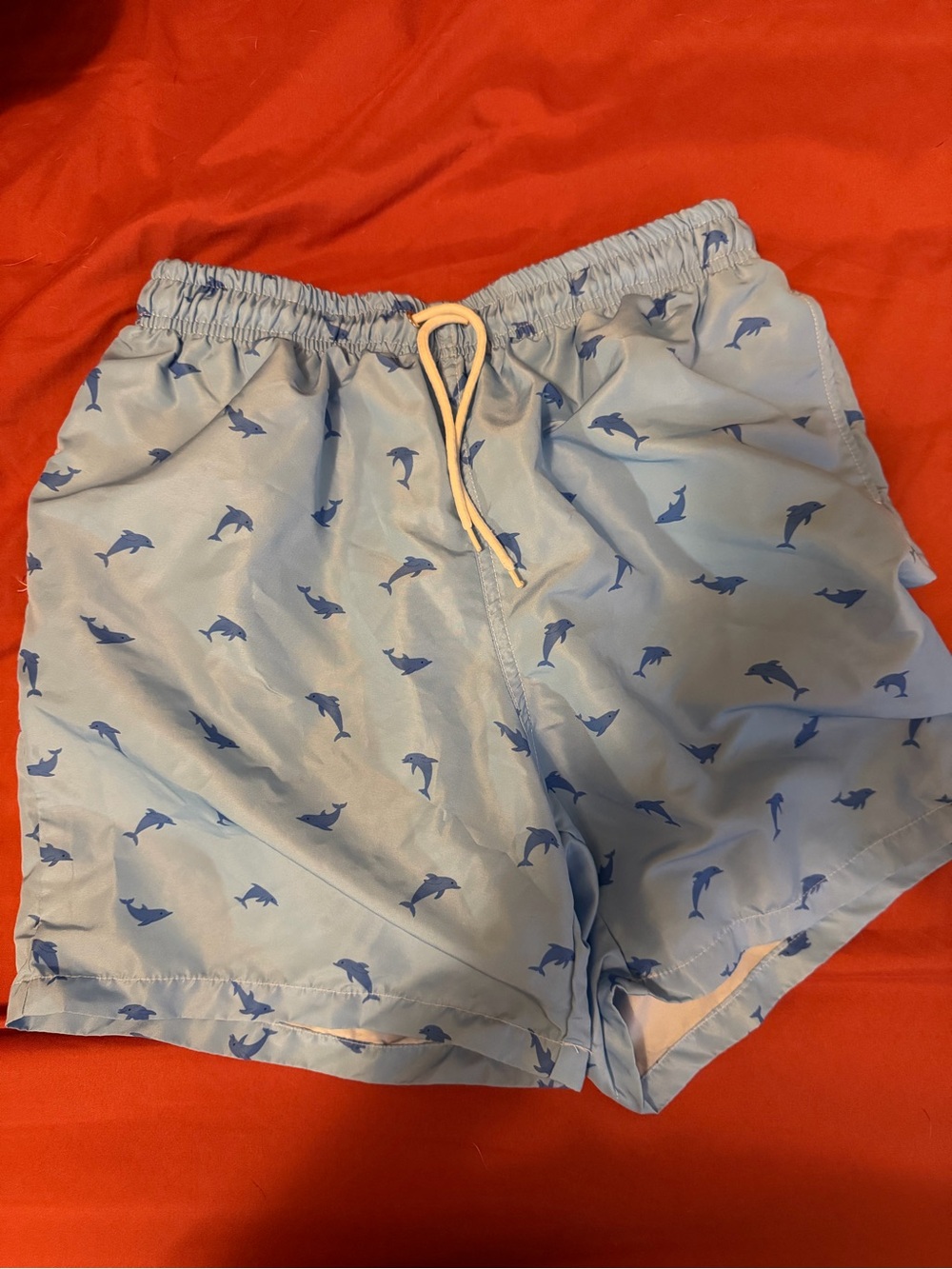 SHEIN Light Blue Dolphin Print Men’s Swim Trunks
